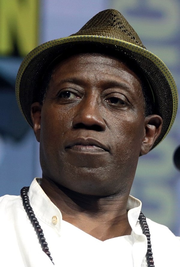 Introducing Alaafia Jehu-T Snipes: The Story of Wesley Snipes' Son